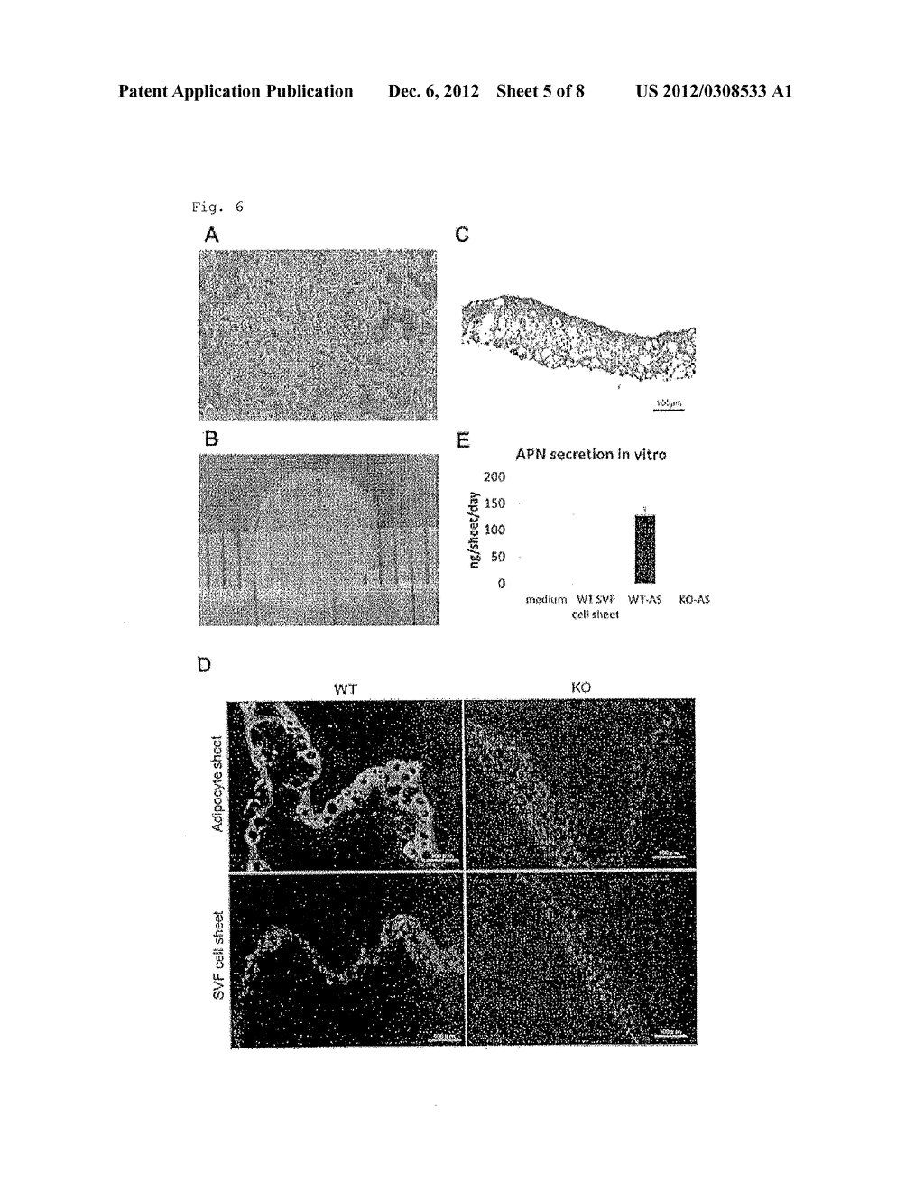 ADIPOCYTE SHEET, THREE-DIMENSIONAL STRUCTURE THEREOF, AND METHOD FOR     PRODUCING THE SAME - diagram, schematic, and image 06