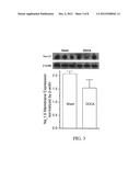 Method for Ameliorating or Preventing Arrhythmic Risk Associated with     Cardiomyopathy by Improving Conduction Velocity diagram and image