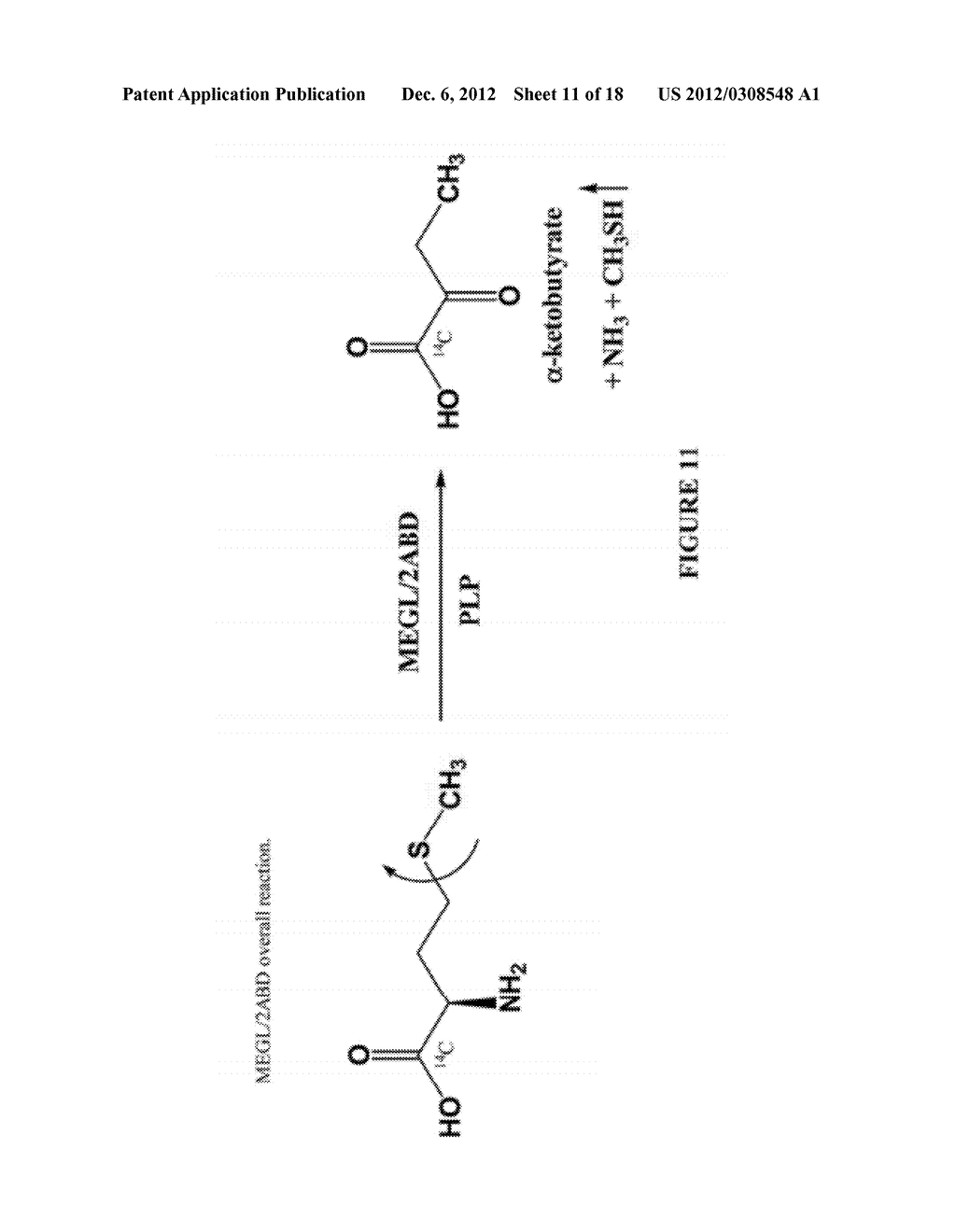 METHIONINE GAMMA LYASE-2-AMINOBUTYRATE DEAMINASE (MEGL-2ABD) AND     THERAPEUTIC USES THEREOF - diagram, schematic, and image 12