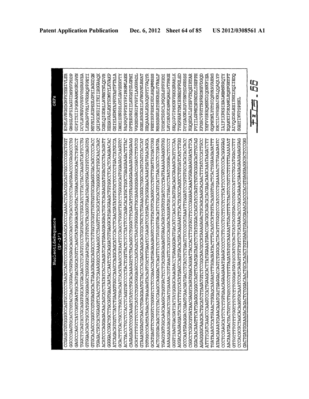 POLYNUCLEOTIDES AND POLYPEPTIDE SEQUENCES INVOLVED IN THE PROCESS OF BONE     REMODELING - diagram, schematic, and image 65