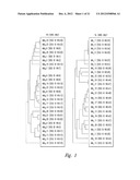 USE OF IL-17 RECEPTOR  A  ANTIGEN BINDING PROTEINS diagram and image