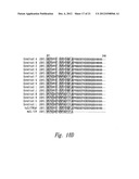 USE OF IL-17 RECEPTOR  A  ANTIGEN BINDING PROTEINS diagram and image