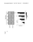 USE OF TYROSINE KINASE INHIBITORS FOR TREATMENT OF PROLACTINOMA diagram and image