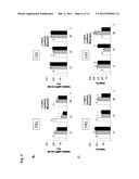 USE OF TYROSINE KINASE INHIBITORS FOR TREATMENT OF PROLACTINOMA diagram and image