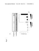 USE OF TYROSINE KINASE INHIBITORS FOR TREATMENT OF PROLACTINOMA diagram and image