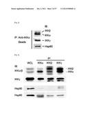 PHARMACEUTICAL COMPOSITION FOR INHIBITING ABNORMAL PROLIFERATION OF CELLS diagram and image