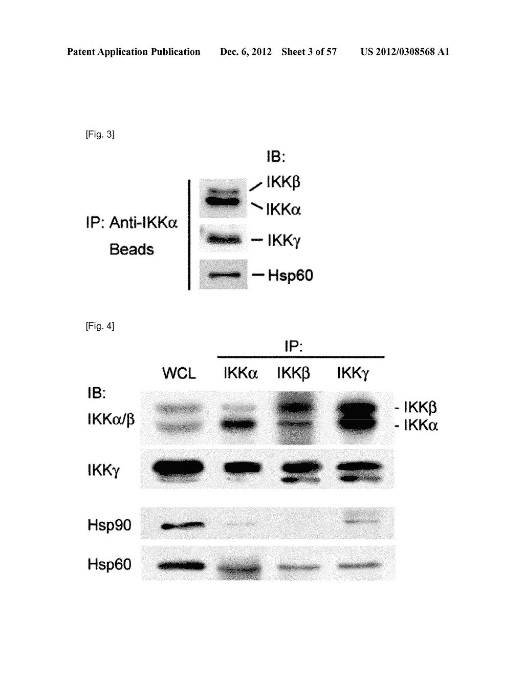 PHARMACEUTICAL COMPOSITION FOR INHIBITING ABNORMAL PROLIFERATION OF CELLS - diagram, schematic, and image 04