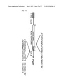 PHARMACEUTICAL COMPOSITION FOR INHIBITING ABNORMAL PROLIFERATION OF CELLS diagram and image