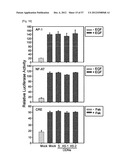 PHARMACEUTICAL COMPOSITION FOR INHIBITING ABNORMAL PROLIFERATION OF CELLS diagram and image