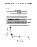 PHARMACEUTICAL COMPOSITION FOR INHIBITING ABNORMAL PROLIFERATION OF CELLS diagram and image