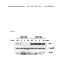 PHARMACEUTICAL COMPOSITION FOR INHIBITING ABNORMAL PROLIFERATION OF CELLS diagram and image