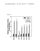 PHARMACEUTICAL COMPOSITION FOR INHIBITING ABNORMAL PROLIFERATION OF CELLS diagram and image