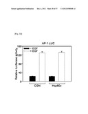 PHARMACEUTICAL COMPOSITION FOR INHIBITING ABNORMAL PROLIFERATION OF CELLS diagram and image