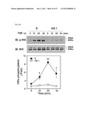 PHARMACEUTICAL COMPOSITION FOR INHIBITING ABNORMAL PROLIFERATION OF CELLS diagram and image