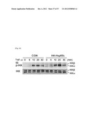 PHARMACEUTICAL COMPOSITION FOR INHIBITING ABNORMAL PROLIFERATION OF CELLS diagram and image