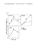 PHARMACEUTICAL COMPOSITION FOR INHIBITING ABNORMAL PROLIFERATION OF CELLS diagram and image