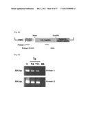 PHARMACEUTICAL COMPOSITION FOR INHIBITING ABNORMAL PROLIFERATION OF CELLS diagram and image