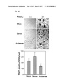 PHARMACEUTICAL COMPOSITION FOR INHIBITING ABNORMAL PROLIFERATION OF CELLS diagram and image