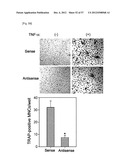PHARMACEUTICAL COMPOSITION FOR INHIBITING ABNORMAL PROLIFERATION OF CELLS diagram and image