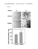 PHARMACEUTICAL COMPOSITION FOR INHIBITING ABNORMAL PROLIFERATION OF CELLS diagram and image