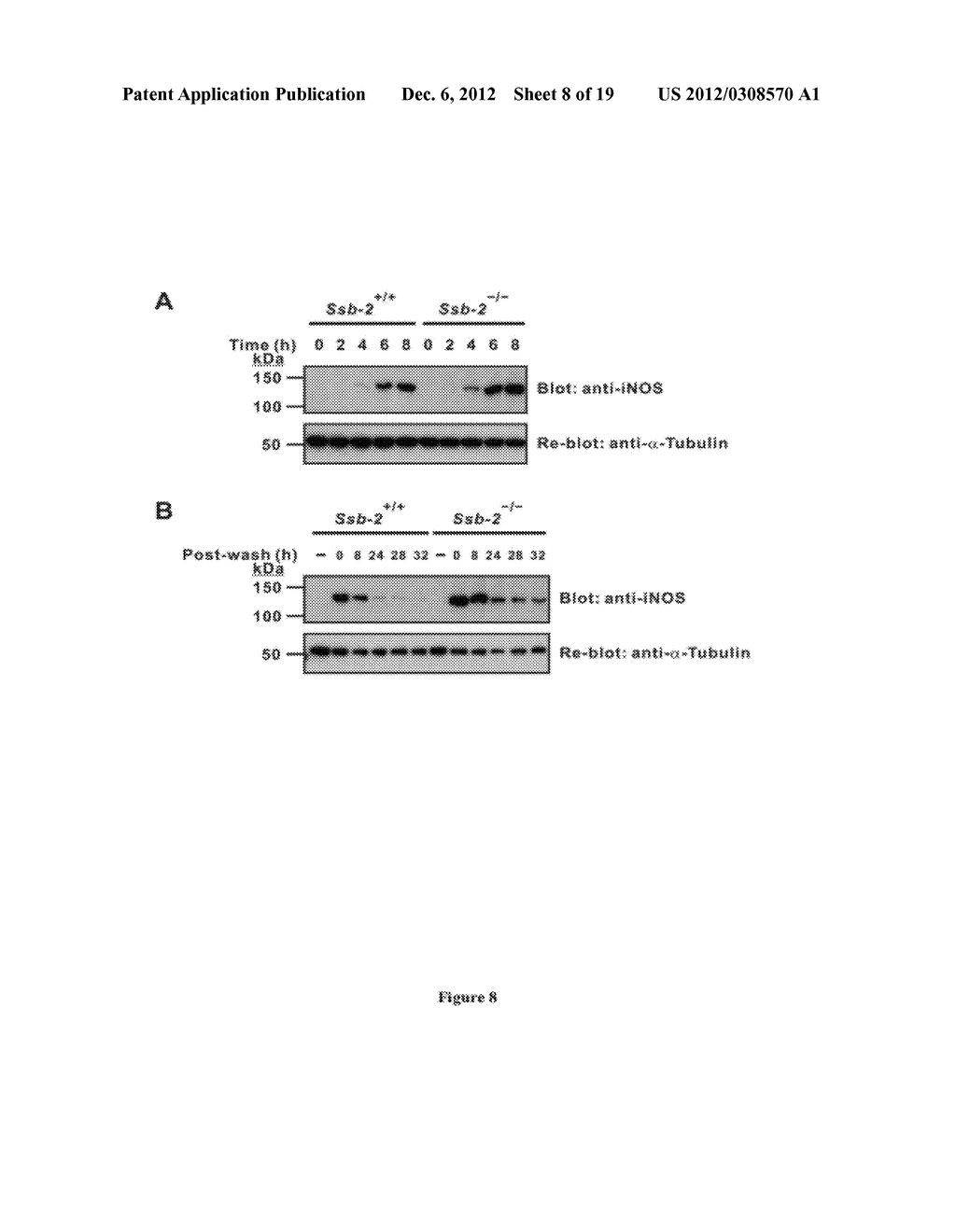 METHODS FOR TREATING DISEASES - diagram, schematic, and image 09