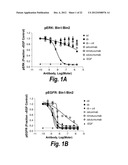 MONOCLONAL AND OLIGOCLONAL ANTI-EGFR ANTIBODIES FOR USE IN THE TREATMENT     OF TUMORS EXPRESSING PREDOMINANTLY HIGH AFFINITY EGFR LIGANDS OR TUMORS     EXPRESSING PREDOMINANTLY LOW AFFINITY EGFR LIGANDS diagram and image