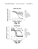 MONOCLONAL AND OLIGOCLONAL ANTI-EGFR ANTIBODIES FOR USE IN THE TREATMENT     OF TUMORS EXPRESSING PREDOMINANTLY HIGH AFFINITY EGFR LIGANDS OR TUMORS     EXPRESSING PREDOMINANTLY LOW AFFINITY EGFR LIGANDS diagram and image