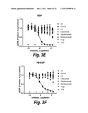 MONOCLONAL AND OLIGOCLONAL ANTI-EGFR ANTIBODIES FOR USE IN THE TREATMENT     OF TUMORS EXPRESSING PREDOMINANTLY HIGH AFFINITY EGFR LIGANDS OR TUMORS     EXPRESSING PREDOMINANTLY LOW AFFINITY EGFR LIGANDS diagram and image