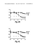 MONOCLONAL AND OLIGOCLONAL ANTI-EGFR ANTIBODIES FOR USE IN THE TREATMENT     OF TUMORS EXPRESSING PREDOMINANTLY HIGH AFFINITY EGFR LIGANDS OR TUMORS     EXPRESSING PREDOMINANTLY LOW AFFINITY EGFR LIGANDS diagram and image