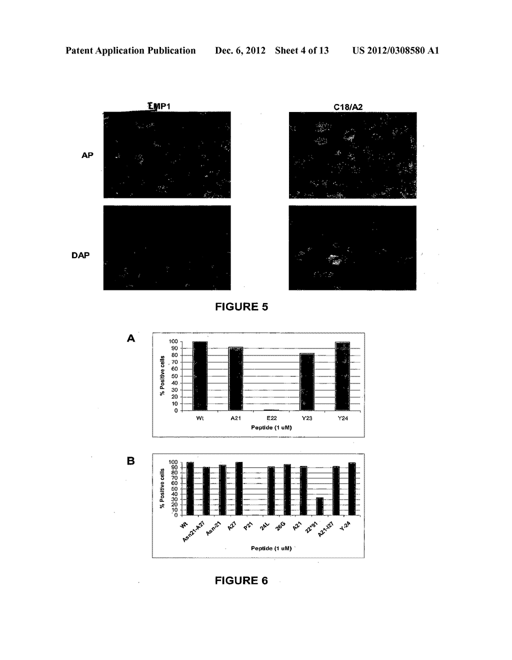 HEPATITUS B VIRUS SPECIFIC ANTIBODY AND USESE THEREOF - diagram, schematic, and image 05