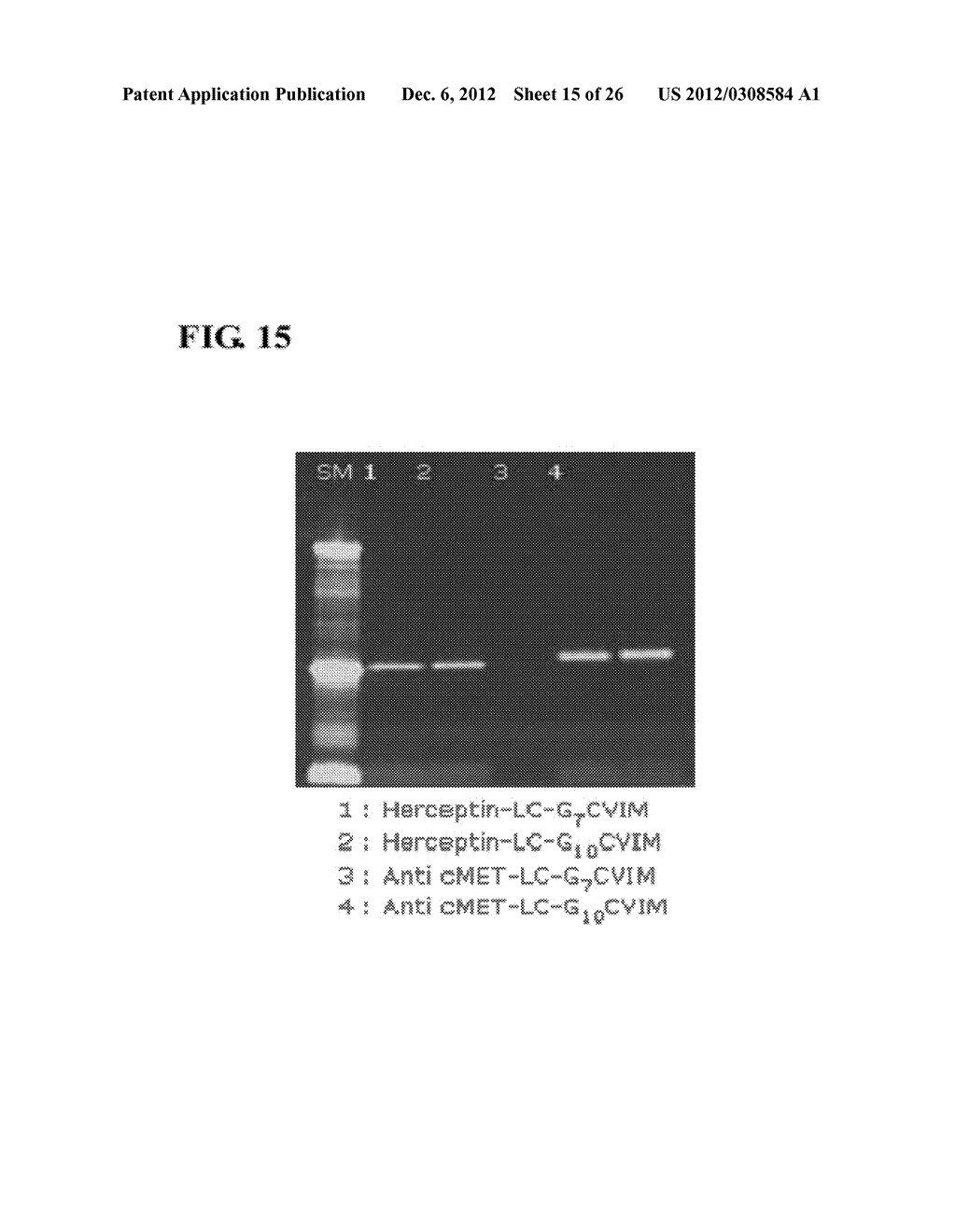 PROTEIN-ACTIVE AGENT CONJUGATES AND METHOD FOR PREPARING THE SAME - diagram, schematic, and image 16