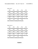 HCV CLADE AND PROTOTYPE SEQUENCES THEREOF diagram and image