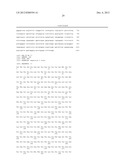 HCV CLADE AND PROTOTYPE SEQUENCES THEREOF diagram and image