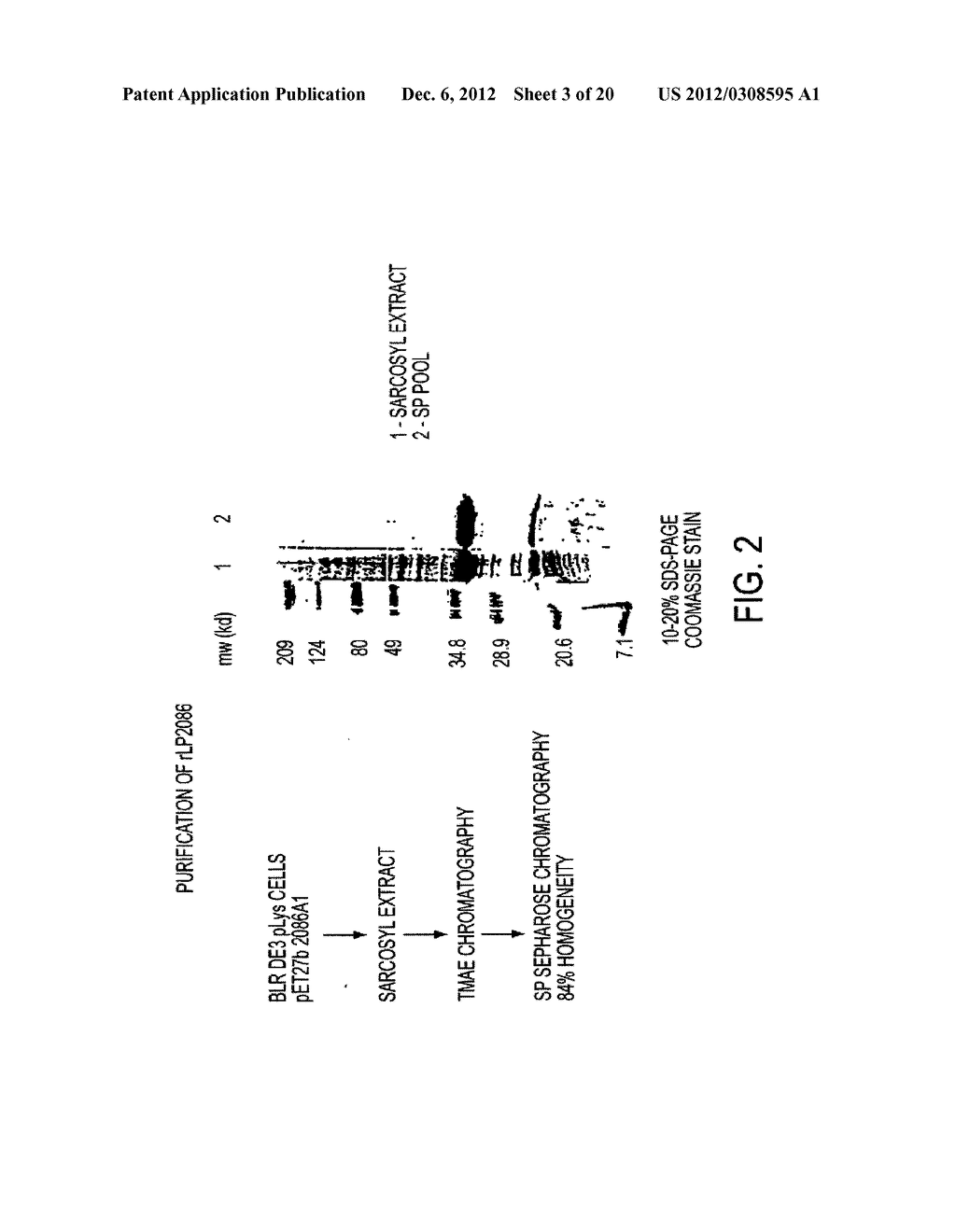 Novel Immunogenic Compositions For The Prevention And Treatment of     Meningococcal Disease - diagram, schematic, and image 04