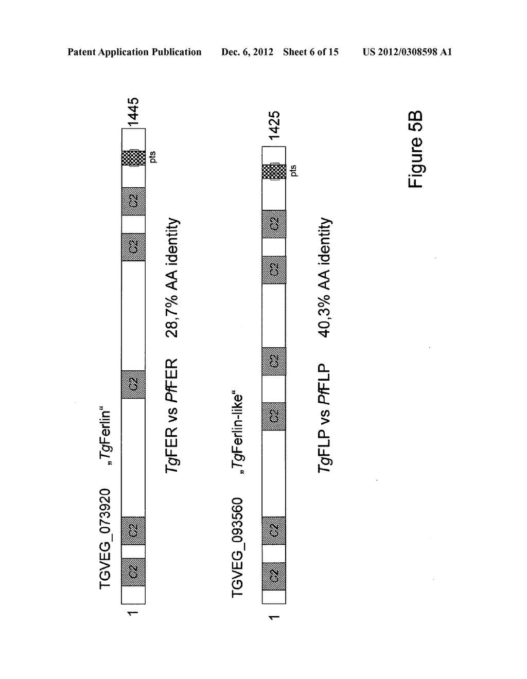 MALARIA VACCINES BASED ON APICOMPLEXAN FERLINS, FERLIN-LIKE PROTEINS AND     OTHER C2-DOMAIN CONTAINING PROTEINS - diagram, schematic, and image 07