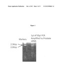 METHODS AND MATERIALS FOR TREATING CANCER diagram and image