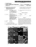 FIBROUS PROTEIN FUSIONS AND USE THEREOF IN THE FORMATION OF ADVANCED     ORGANIC/INORGANIC COMPOSITE MATERIALS diagram and image