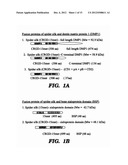 FIBROUS PROTEIN FUSIONS AND USE THEREOF IN THE FORMATION OF ADVANCED     ORGANIC/INORGANIC COMPOSITE MATERIALS diagram and image