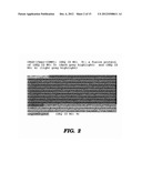 FIBROUS PROTEIN FUSIONS AND USE THEREOF IN THE FORMATION OF ADVANCED     ORGANIC/INORGANIC COMPOSITE MATERIALS diagram and image