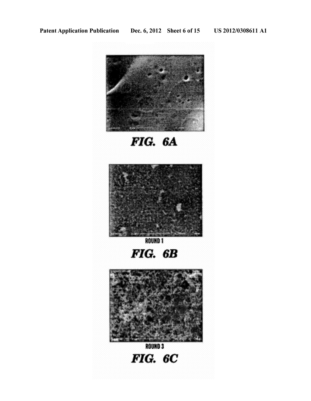 FIBROUS PROTEIN FUSIONS AND USE THEREOF IN THE FORMATION OF ADVANCED     ORGANIC/INORGANIC COMPOSITE MATERIALS - diagram, schematic, and image 07