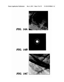 FIBROUS PROTEIN FUSIONS AND USE THEREOF IN THE FORMATION OF ADVANCED     ORGANIC/INORGANIC COMPOSITE MATERIALS diagram and image