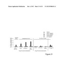 IC31 NANOPARTICLES diagram and image