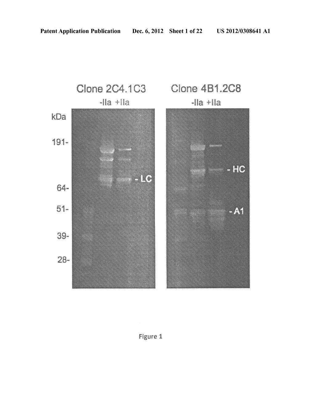 Compositions and Methods for Enhancing Coagulation Factor VIII Function - diagram, schematic, and image 02