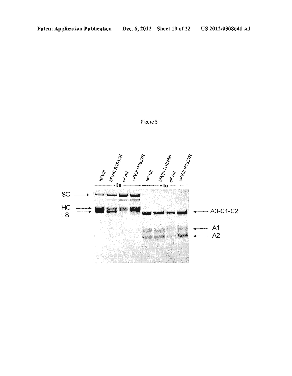 Compositions and Methods for Enhancing Coagulation Factor VIII Function - diagram, schematic, and image 11