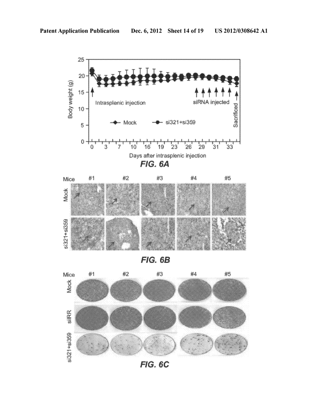 INHIBITING HEPATITIS C VIRAL REPLICATION WITH SIRNA COMBINATIONS - diagram, schematic, and image 15