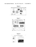 MAGNETIC NANOSTRUCTURES AS THERANOSTIC AGENTS diagram and image