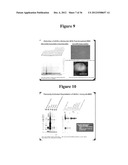 MAGNETIC NANOSTRUCTURES AS THERANOSTIC AGENTS diagram and image