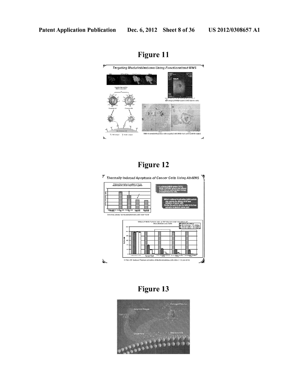 MAGNETIC NANOSTRUCTURES AS THERANOSTIC AGENTS - diagram, schematic, and image 09