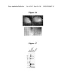 MAGNETIC NANOSTRUCTURES AS THERANOSTIC AGENTS diagram and image