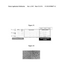 MAGNETIC NANOSTRUCTURES AS THERANOSTIC AGENTS diagram and image